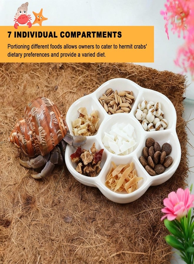 Eiito Reptile Food Bowl,Hermit Crab Lizard Gecko Ceramic Food Dish, 7 Compartments Anti-Turning Bearded Dragon Food & Water Bowl with Small Brush (White) - Image 4